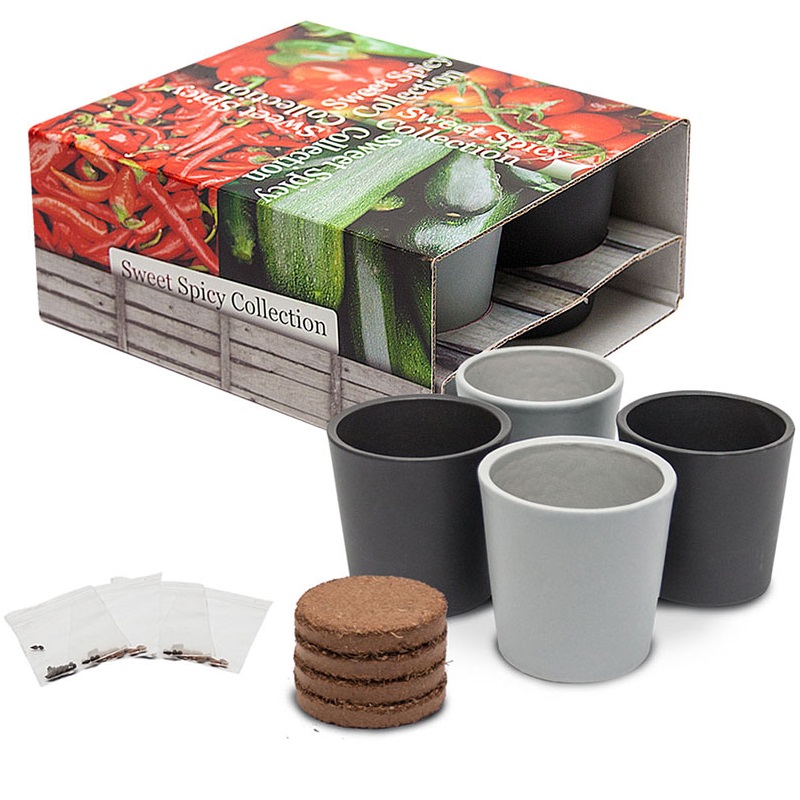 Set pots with vegetable seeds